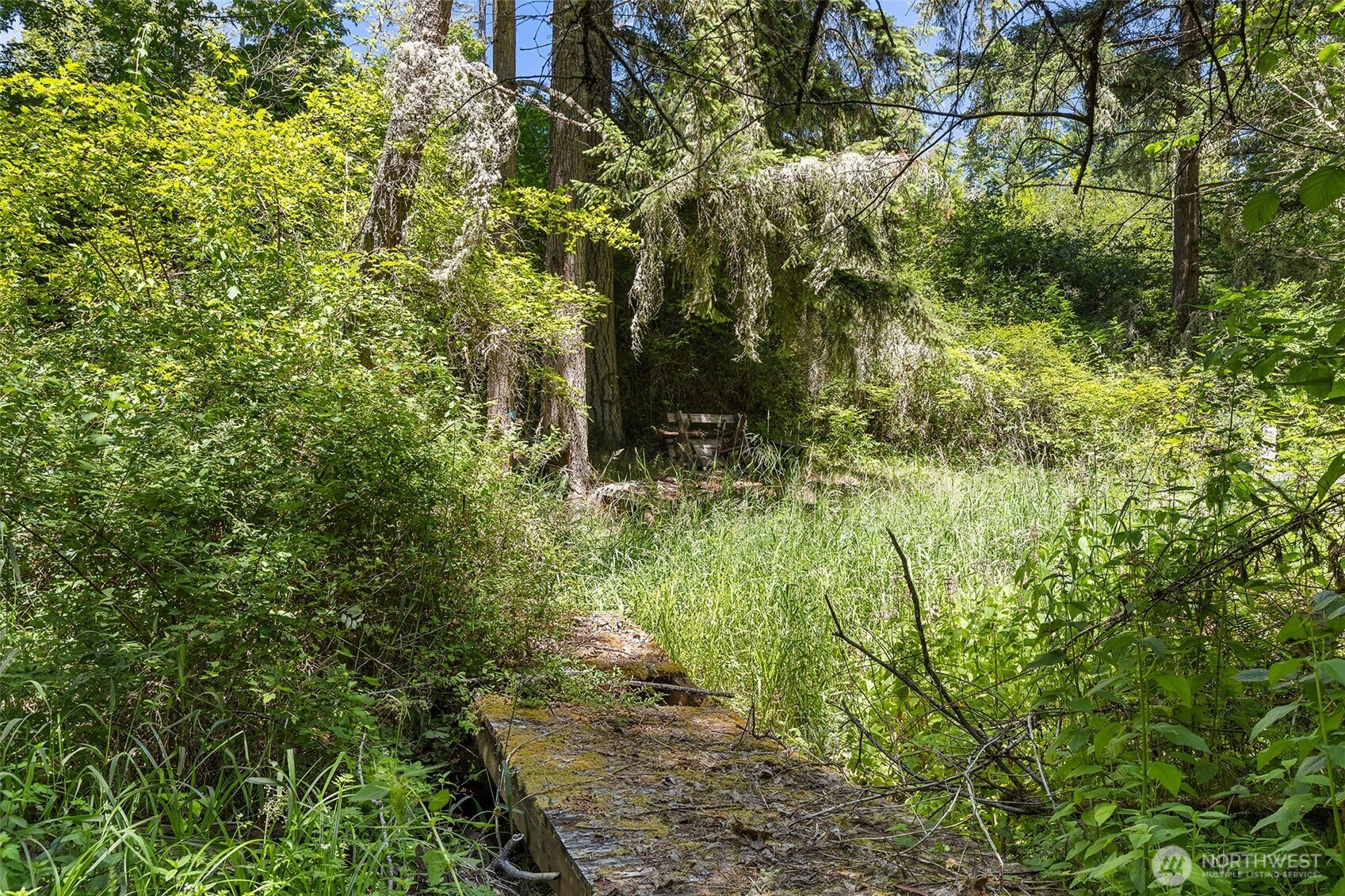 22030 Peissner Road Southeast Yelm, WA 98597 - Photo 6 of 18