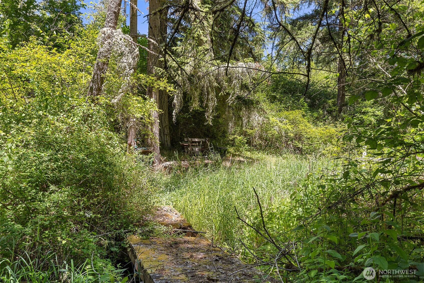 22030 Peissner Road Southeast Yelm, WA 98597 - Photo 7 of 18