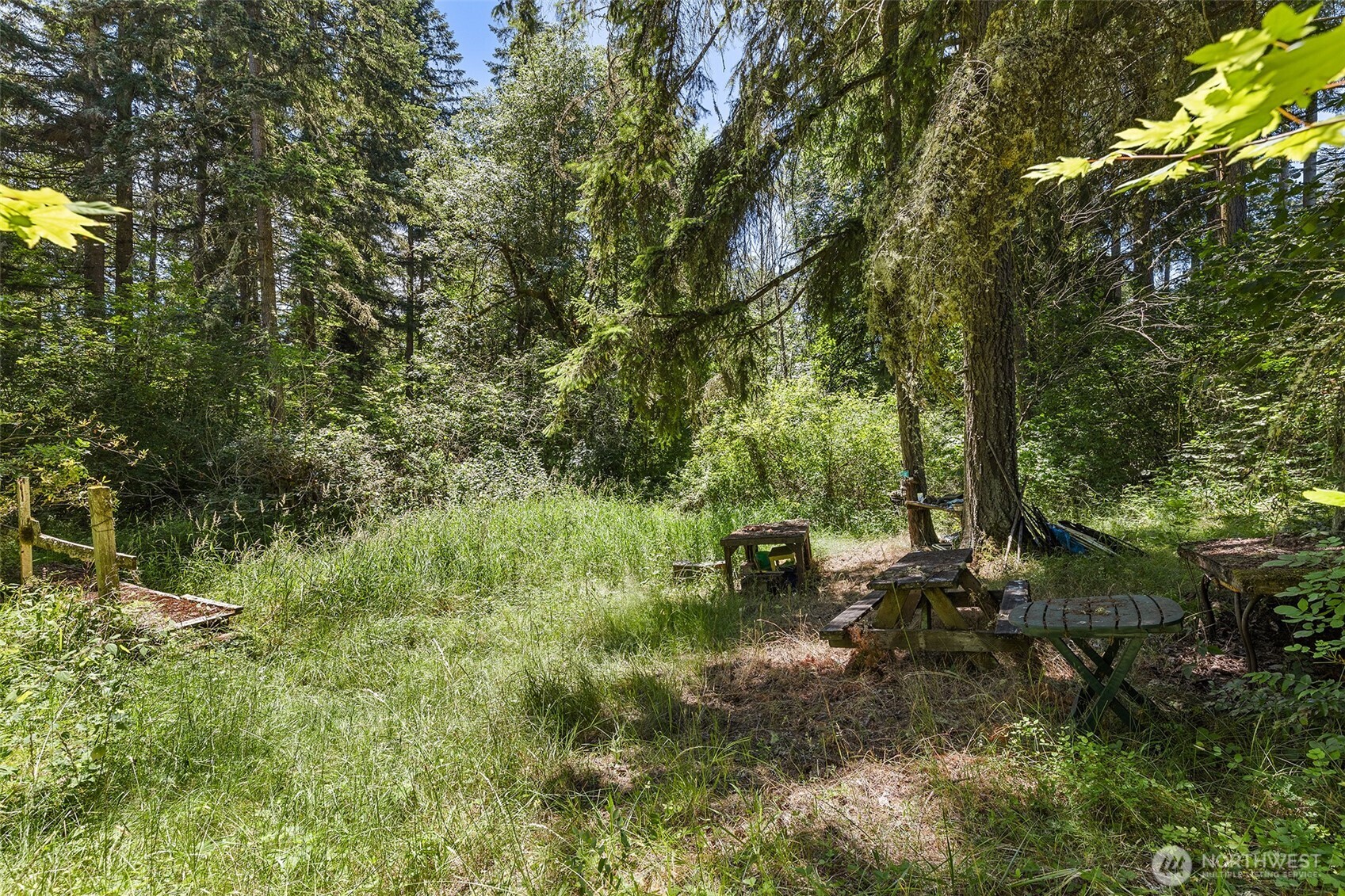 22030 Peissner Road Southeast Yelm, WA 98597 - Photo 8 of 18