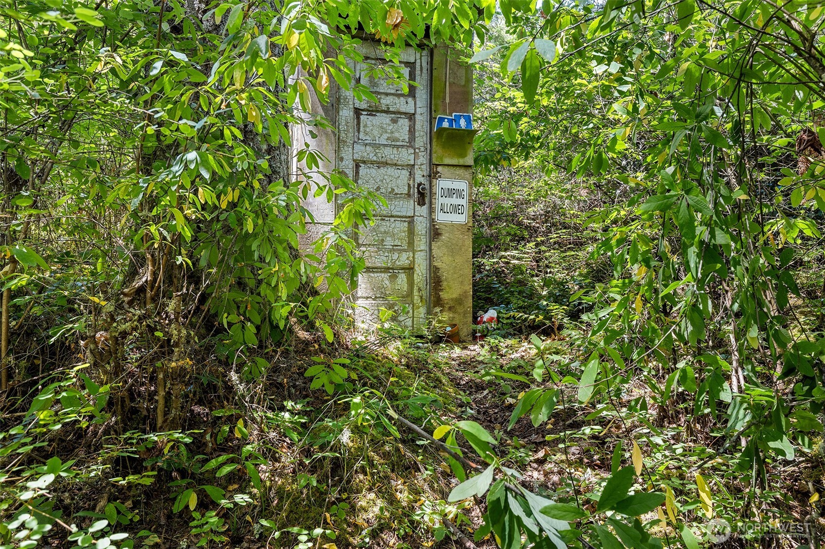 22030 Peissner Road Southeast Yelm, WA 98597 - Photo 9 of 18