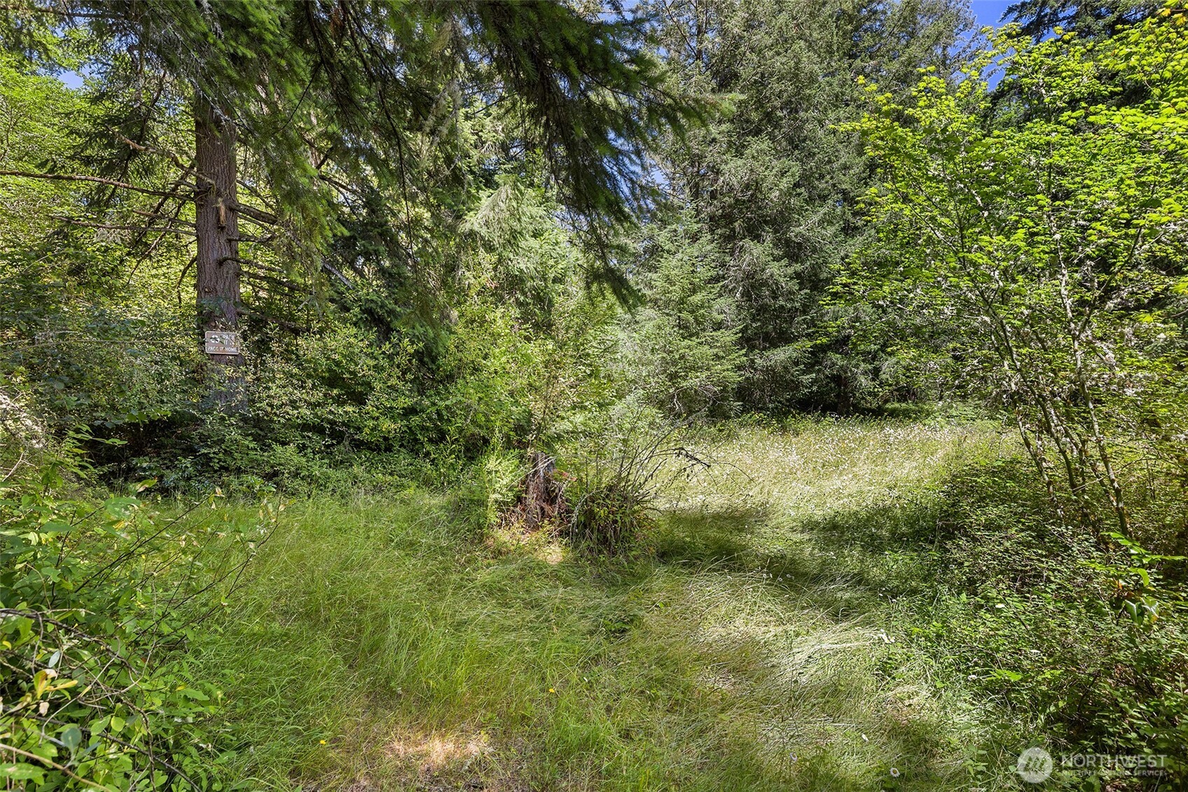 22030 Peissner Road Southeast Yelm, WA 98597 - Photo 10 of 18