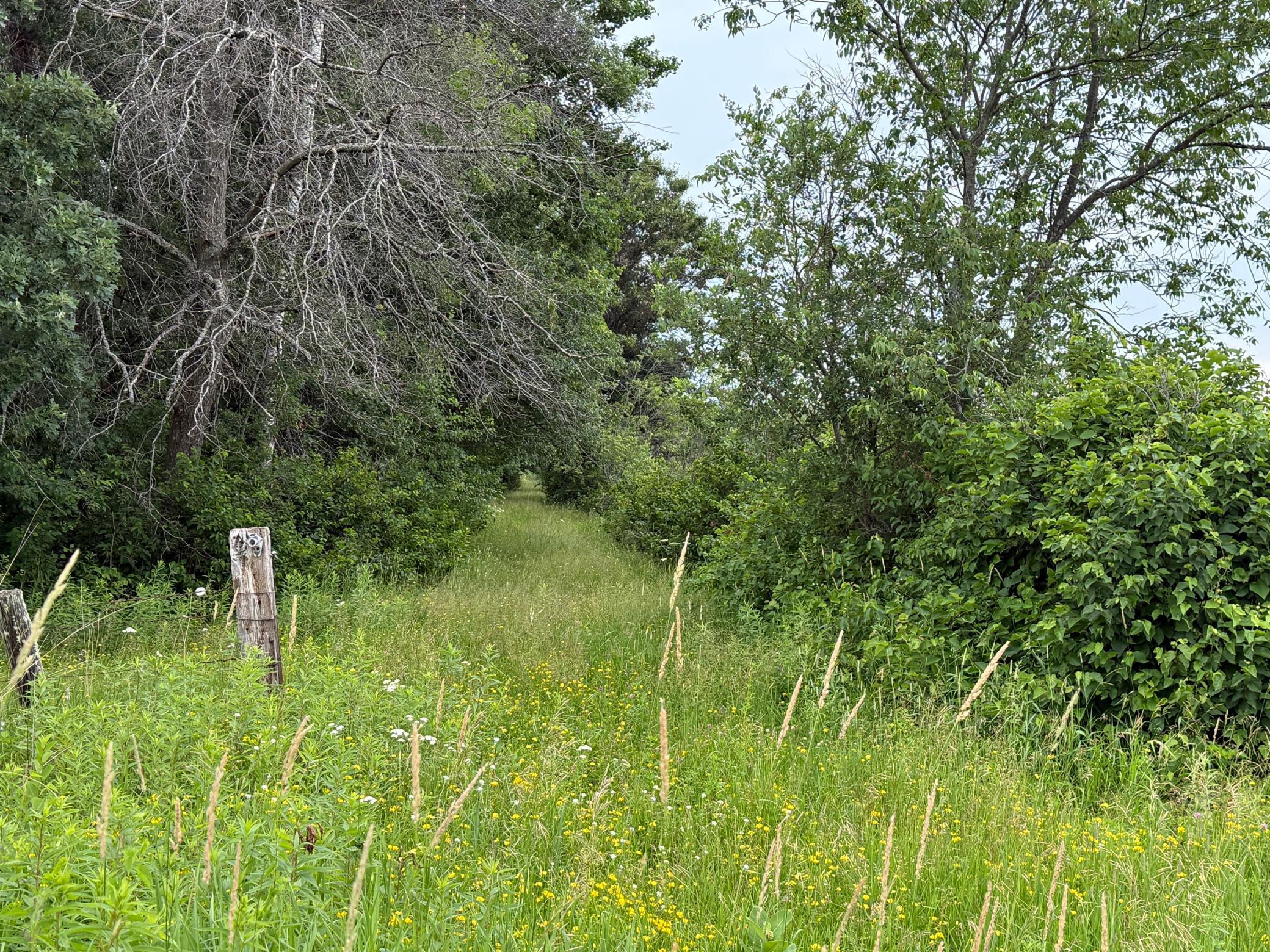 Tbd Timberlane Road Staples, MN 56479 - Photo 14 of 19
