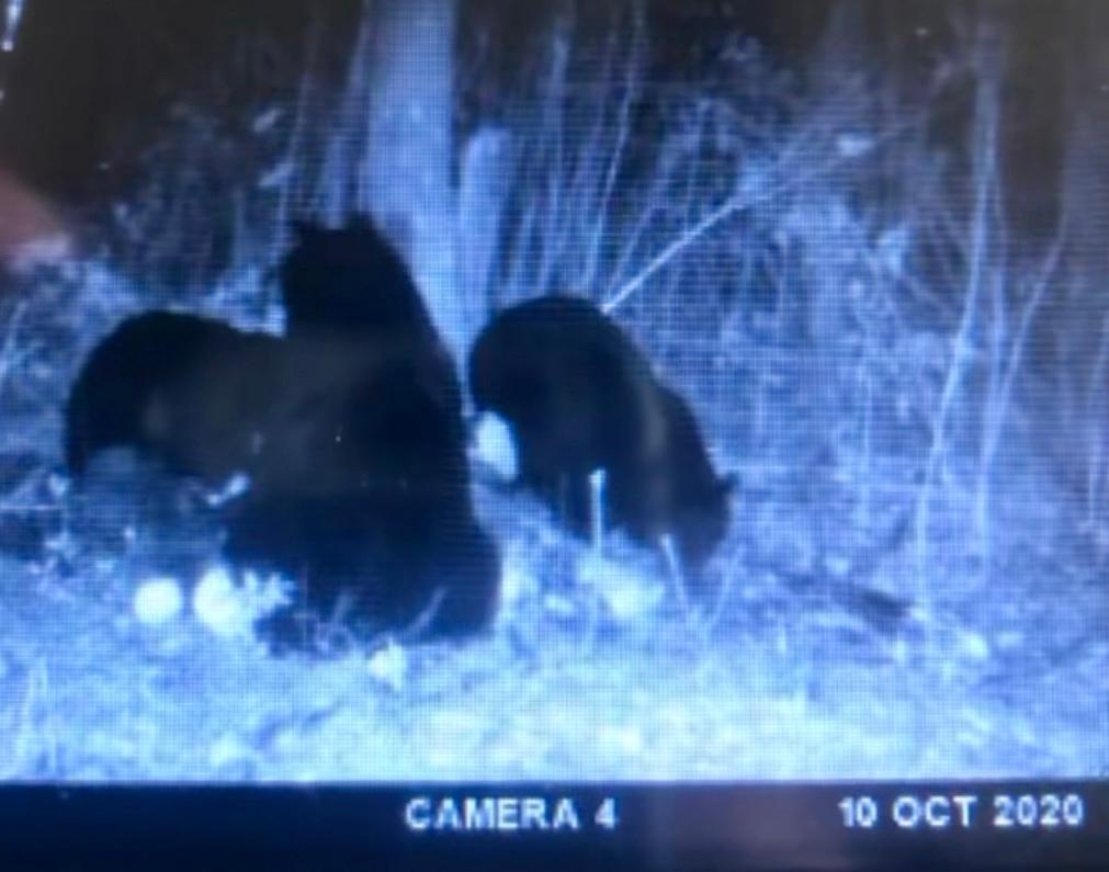 Tbd Timberlane Road Staples, MN 56479 - Photo 15 of 19