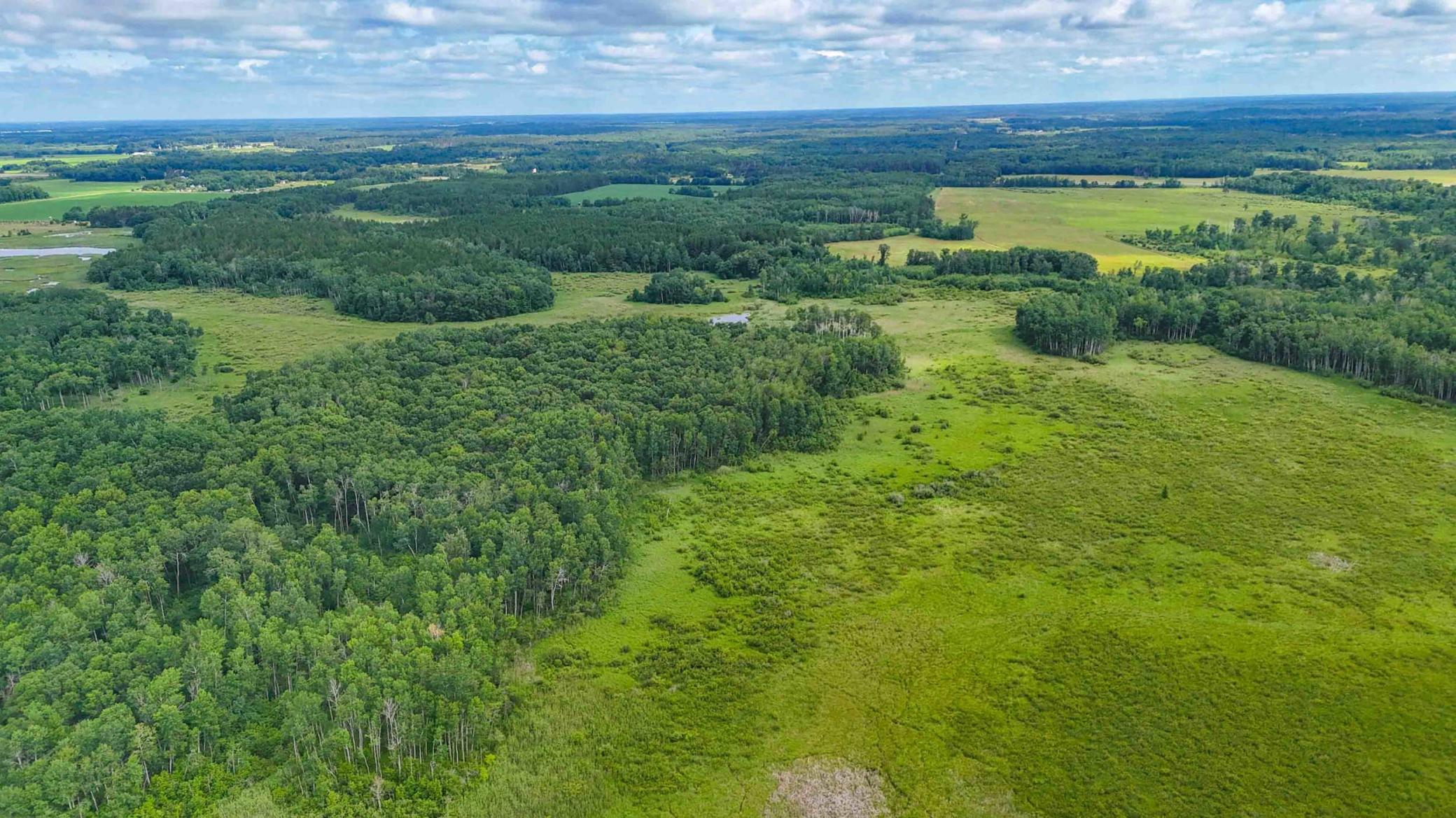 Tbd Timberlane Road Staples, MN 56479 - Photo 5 of 19
