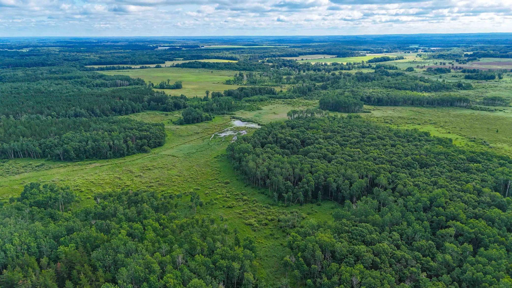 Tbd Timberlane Road Staples, MN 56479 - Photo 8 of 19