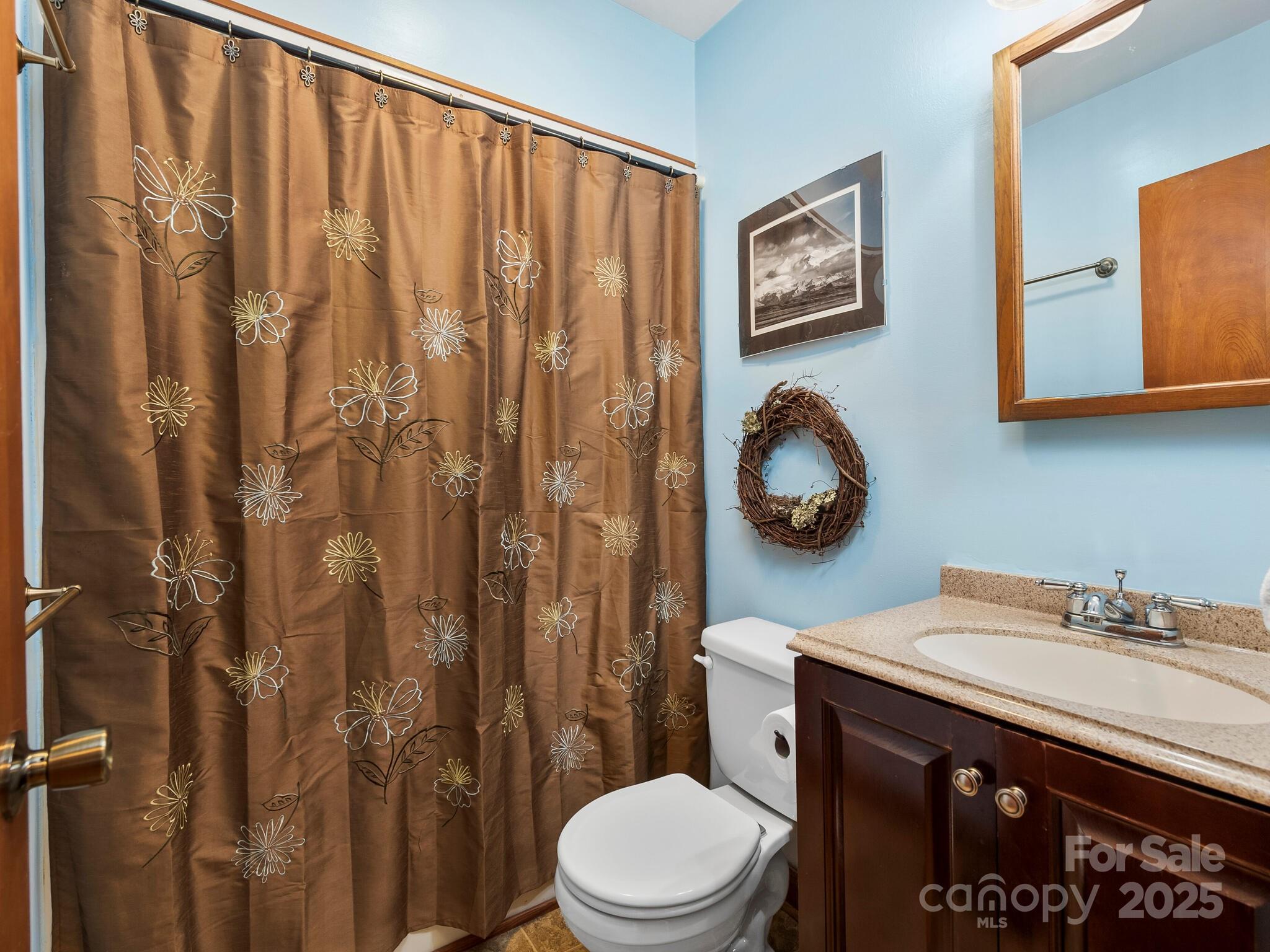 70 Fox Run Hot Springs, NC 28743 - Photo 18 of 29 a bathroom with a toilet a sink and a shower curtain