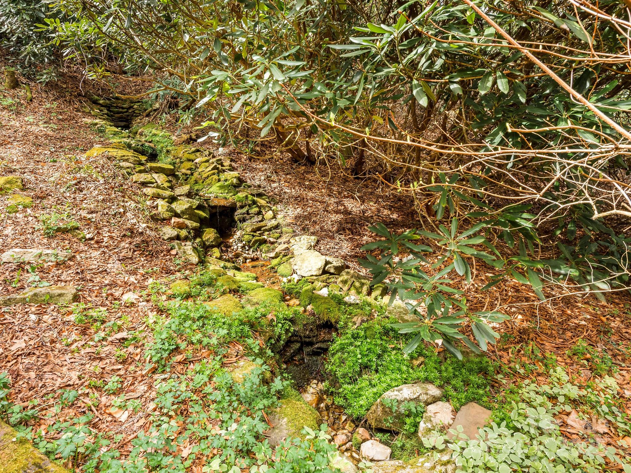 70 Fox Run Hot Springs, NC 28743 - Photo 23 of 29 a view of a yard