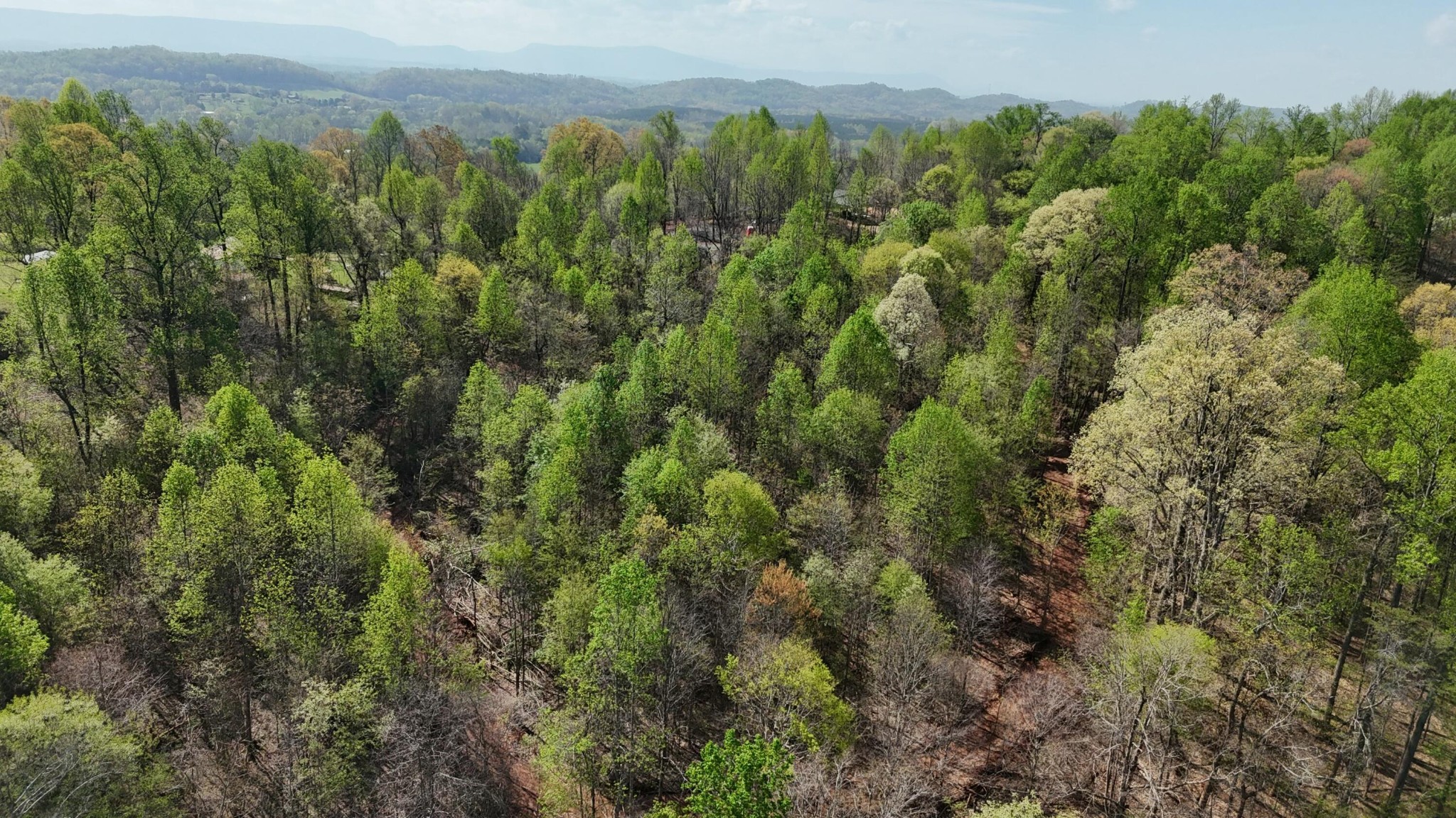 0 County Road 675 Athens, TN 37303 - Photo 5 of 11 a view of a city with lush green forest