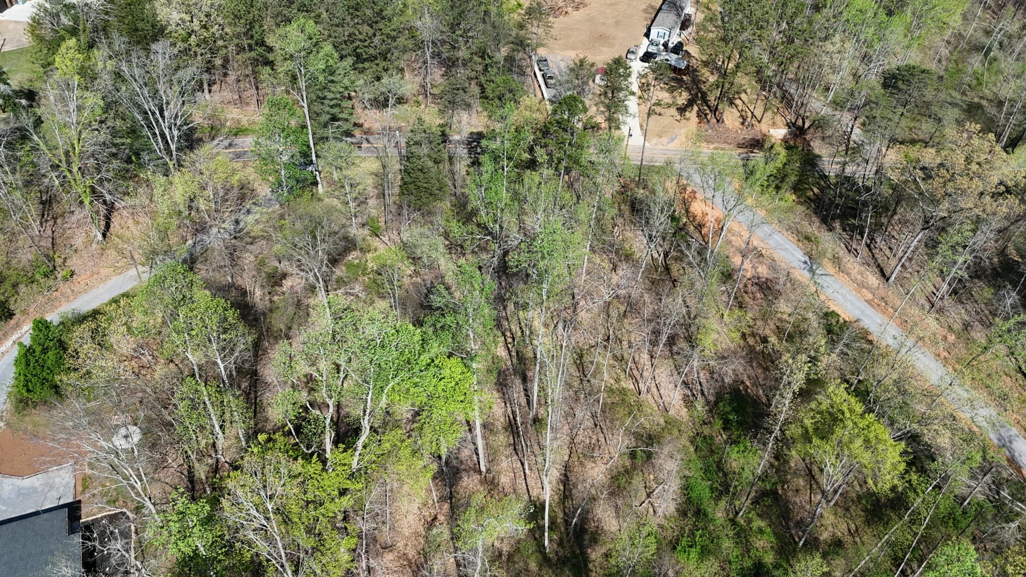 0 County Road 675 Athens, TN 37303 - Photo 7 of 11 a view of a forest