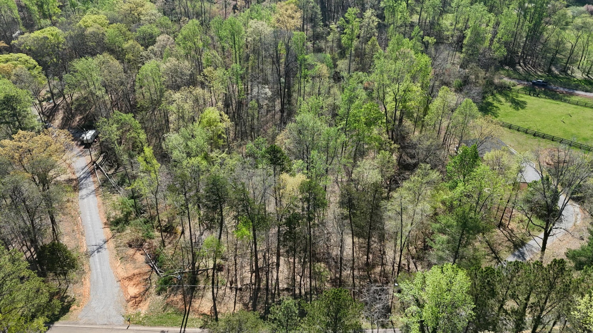 0 County Road 675 Athens, TN 37303 - Photo 8 of 11 a view of a forest with a tree