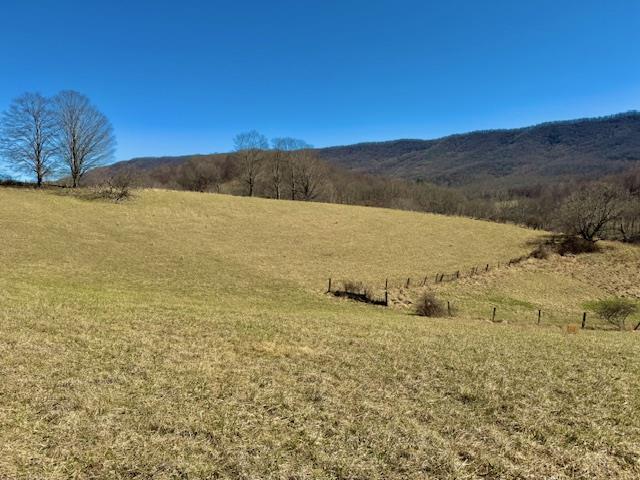 2703 Foglesong Valley Road Ceres, VA 24318 - Photo 52 of 94 Gallery Image 52