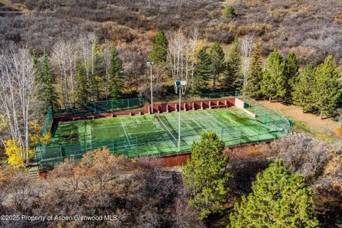 a view of a park with large trees