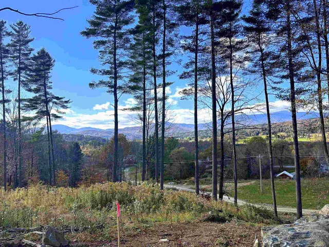 $2,450,000 | Lot 4 Pucker Street, Unit 4, Stowe, VT 05672