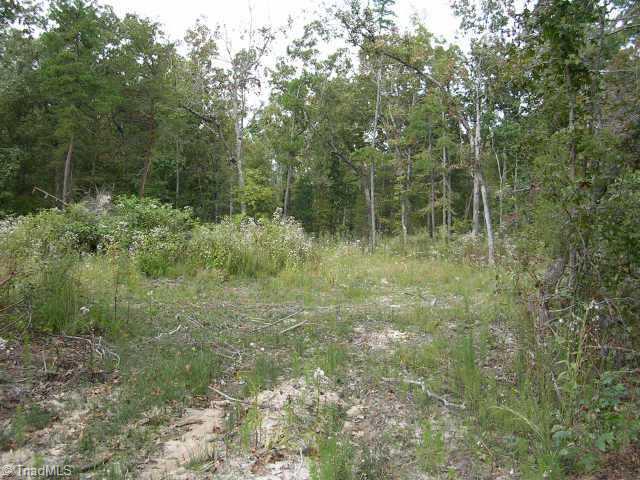 6022 Monnett Road Julian, NC 27283 - Photo 2 of 2 Other.