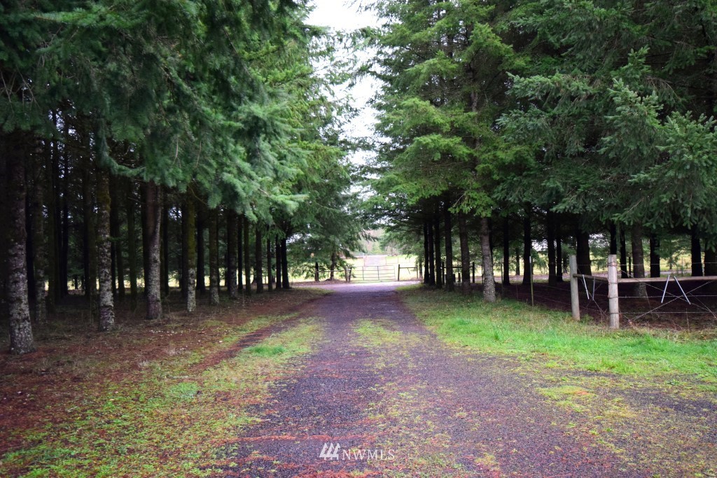 290 Kruger Road Onalaska, WA 98570 - Photo 22 of 25 Gallery Image 22
