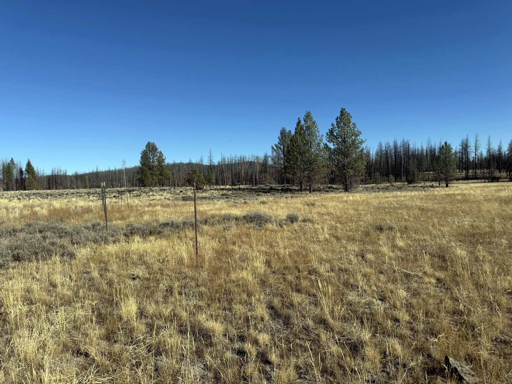 Bull Pine Road, Unit 500 400 300 Beatty, OR 97621 - Photo 27 of 50 IMG_4211