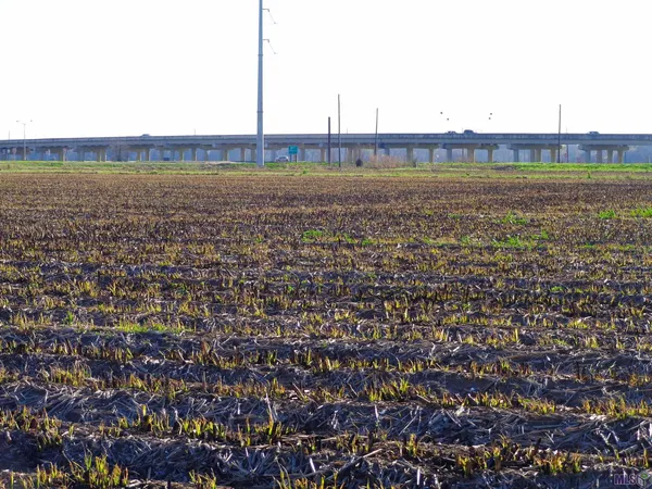 $1,100,000 | 1330 Northwest Boulevard, Franklin, LA 70538