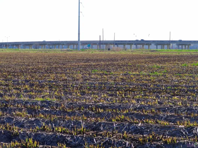 $1,100,000 | 1330 Northwest Boulevard, Franklin, LA 70538