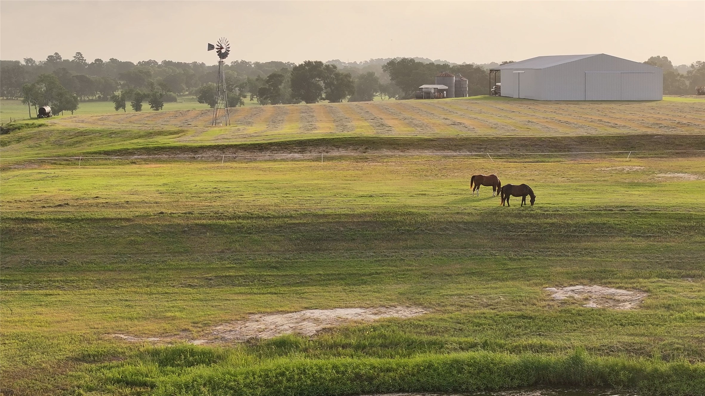 3285 Fm 2562 Road Anderson, TX 77830 - Photo 4 of 49