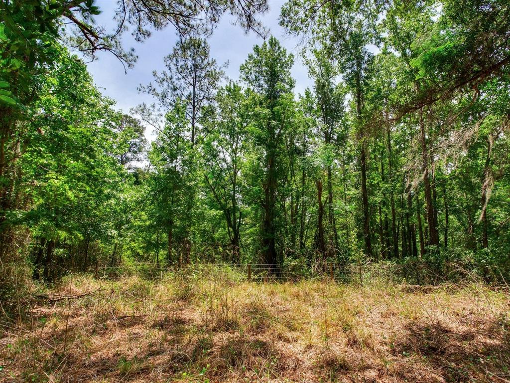 Spring Lake Highway Brooksville, FL 34602 - Photo 19 of 49 a view of outdoor space and trees