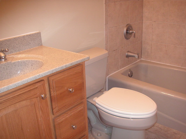 5935 Essex Road Oak Forest, IL 60452 - Photo 10 of 13