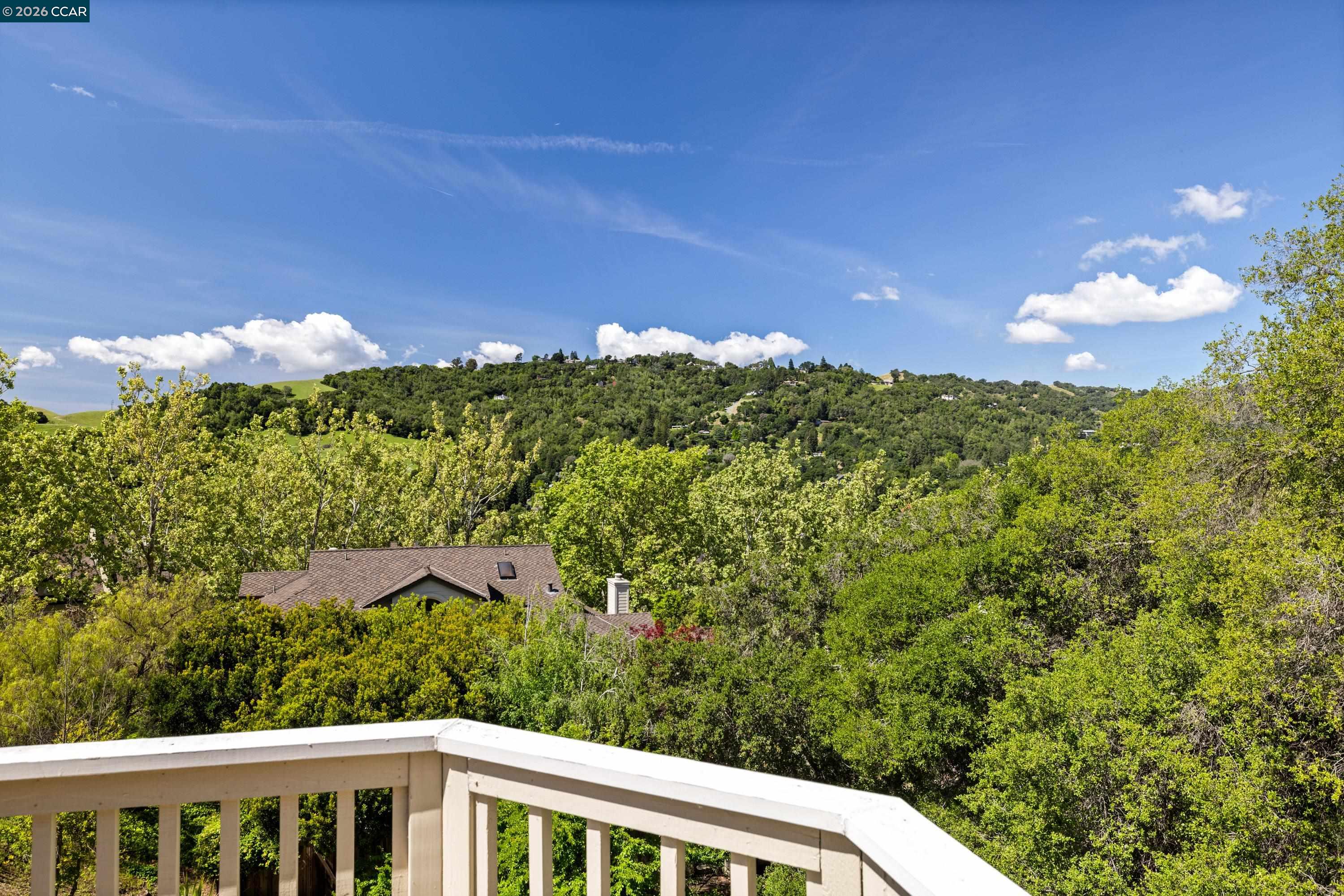 467 Beacon Ridge Lane Walnut Creek, CA 94597 - Photo 35 of 48 a view of a big yard with potted plants