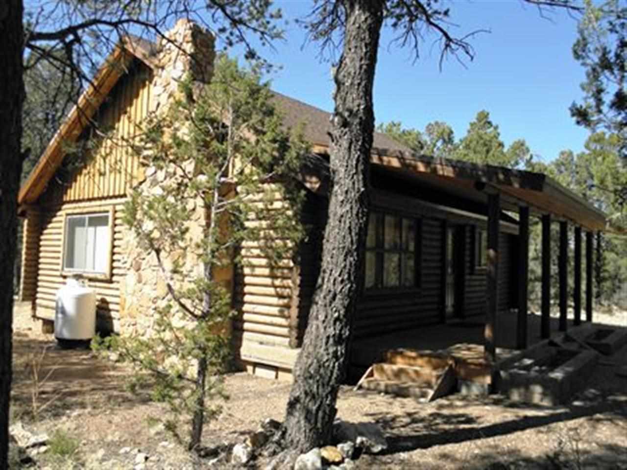 3362 Turkey Run Overgaard, AZ 85933 - Photo 7 of 35 a view of a house with a yard