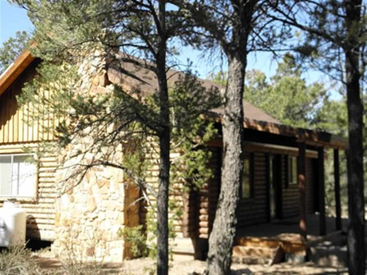 3362 Turkey Run Overgaard, AZ 85933 - Photo 9 of 35 front view of a house with a trees