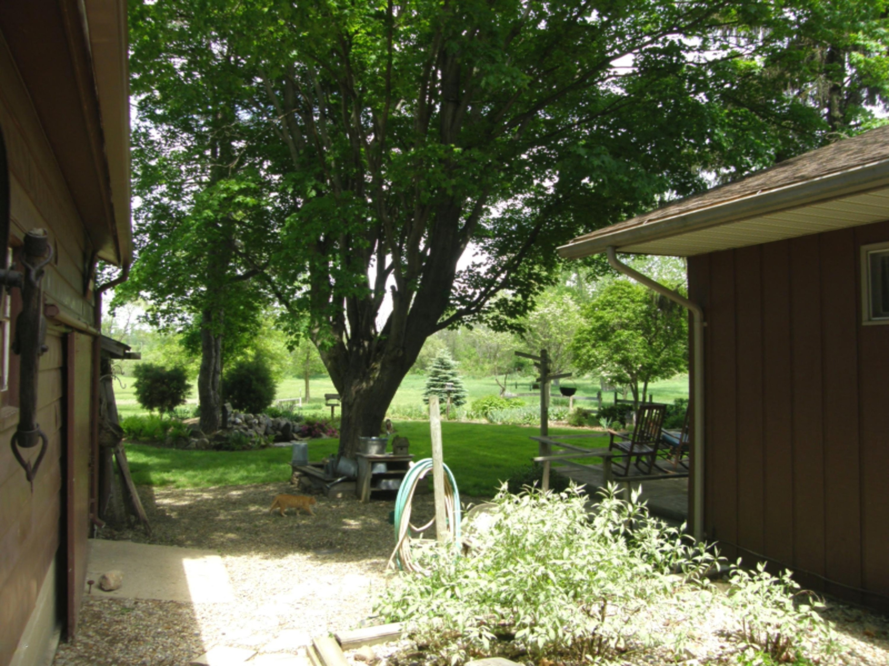 5927 South Pipestone Road Eau Claire, MI 49111 - Photo 9 of 49 5927_S_Pipestone_9_Backyd