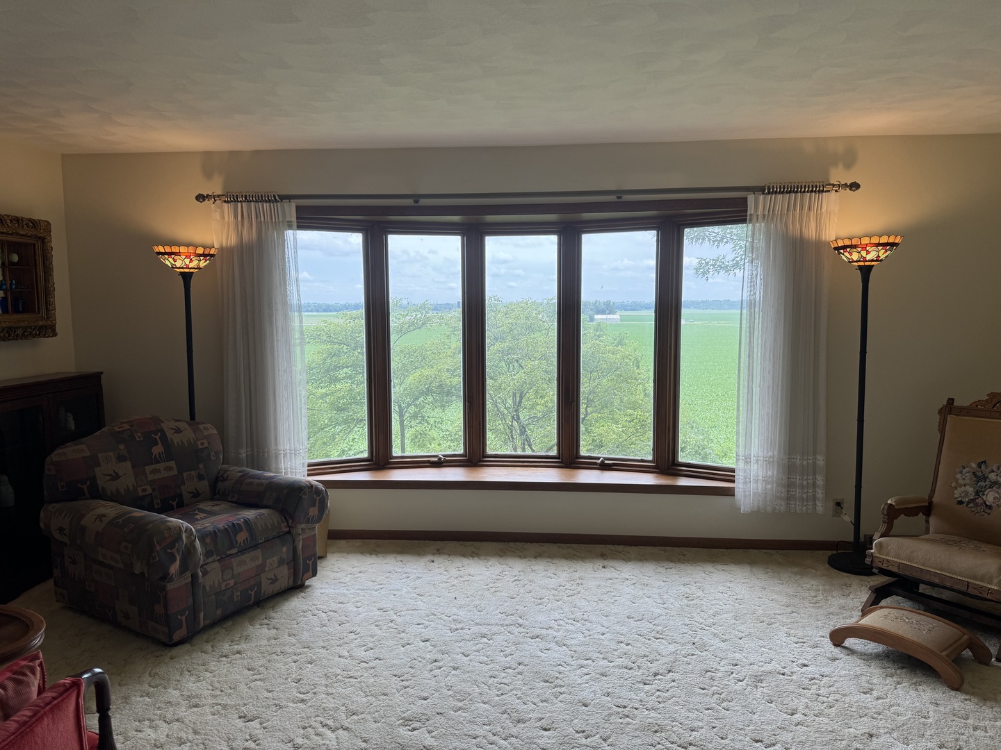 428 Overlook Court Geneseo, IL 61254 - Photo 11 of 55