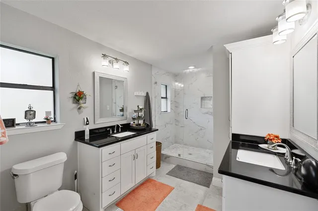 a bathroom with a sink a toilet and a mirror