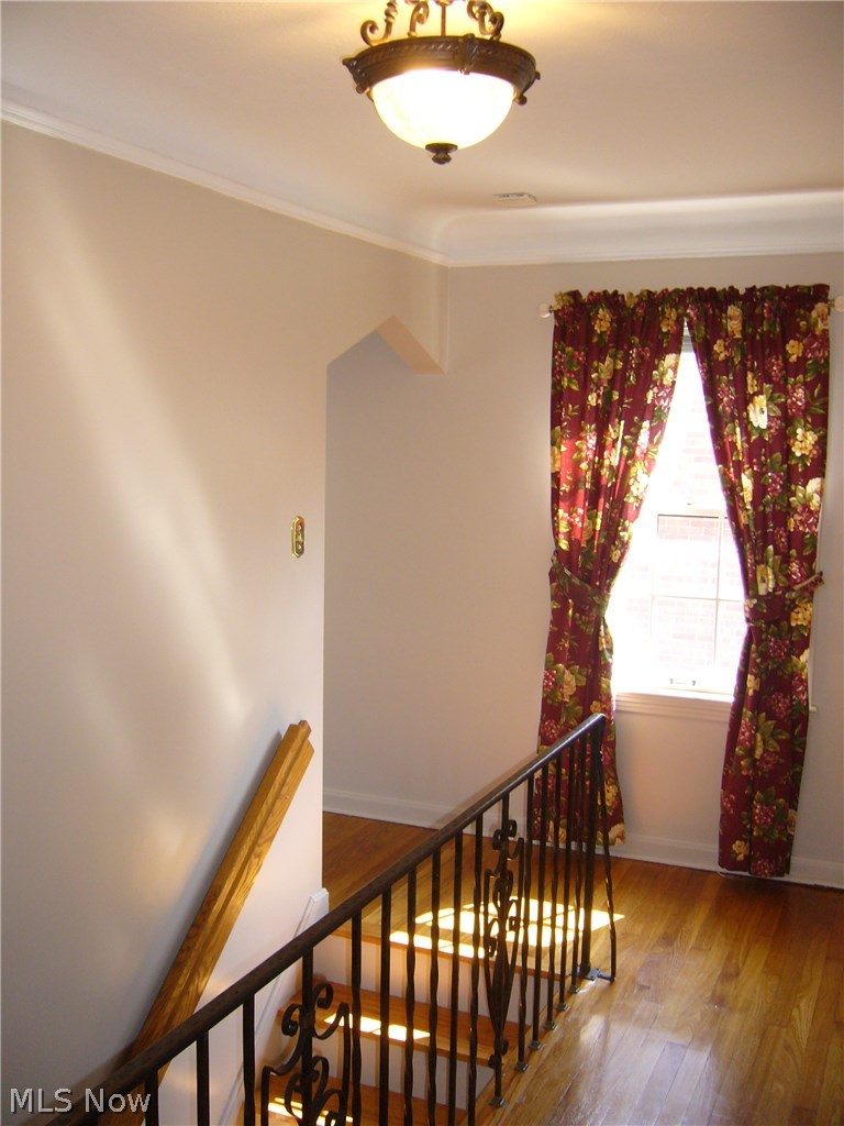 3820 Hillbrook Road Cleveland, OH 44118 - Photo 9 of 22 Gallery Image 9