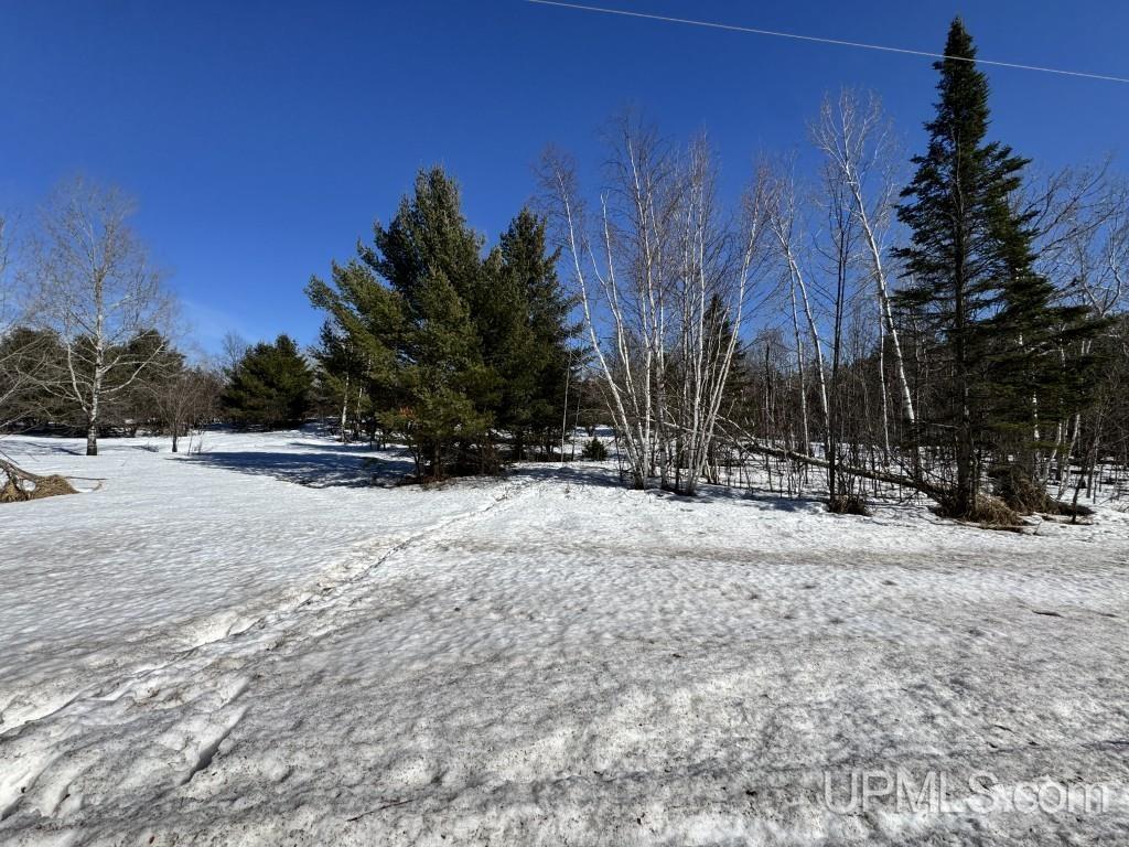 Tbd Bellaire Road Baraga, MI 49908 - Photo 14 of 20