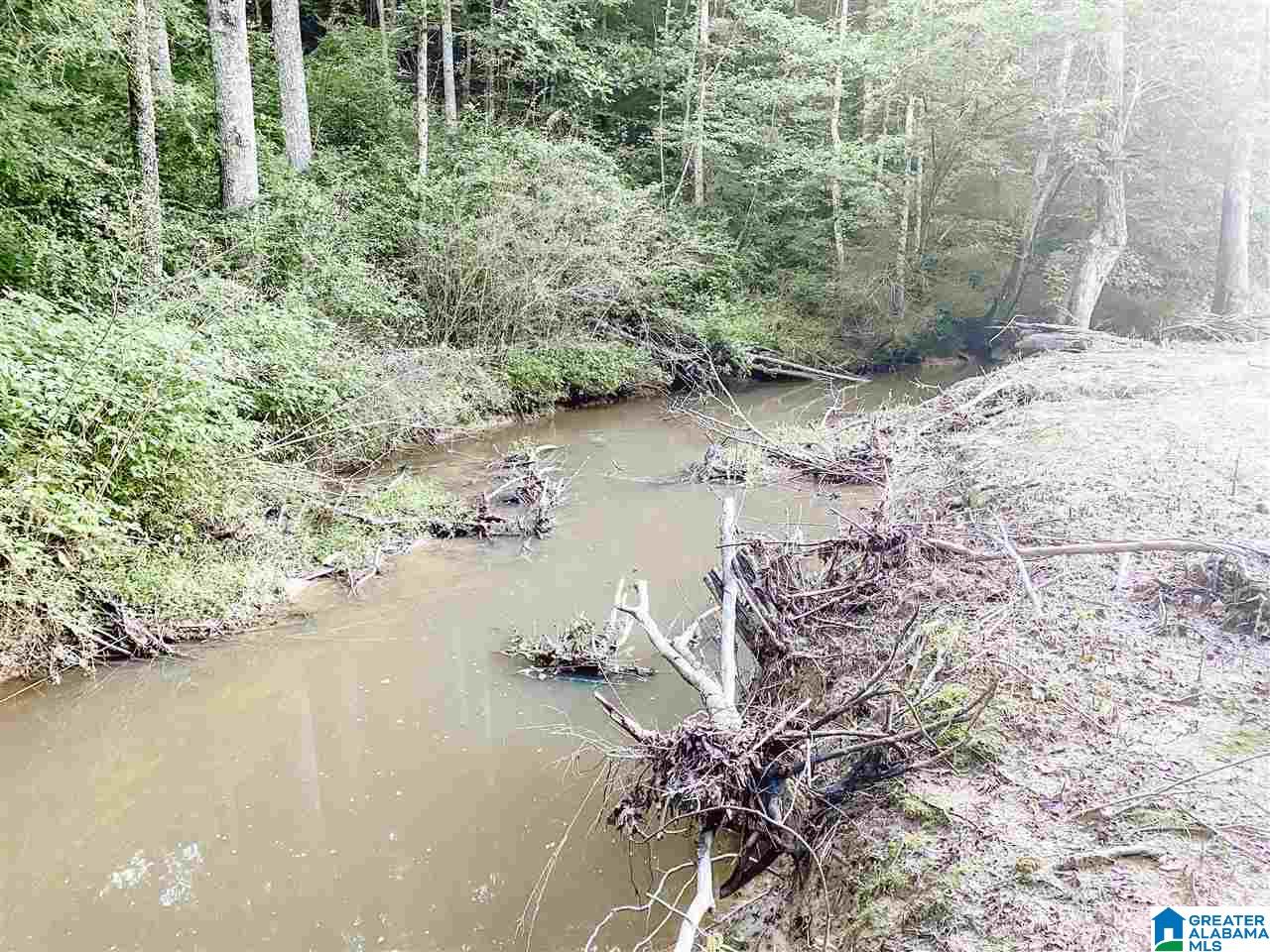 4000 County Road 20 Oneonta, AL 35121 - Photo 13 of 48