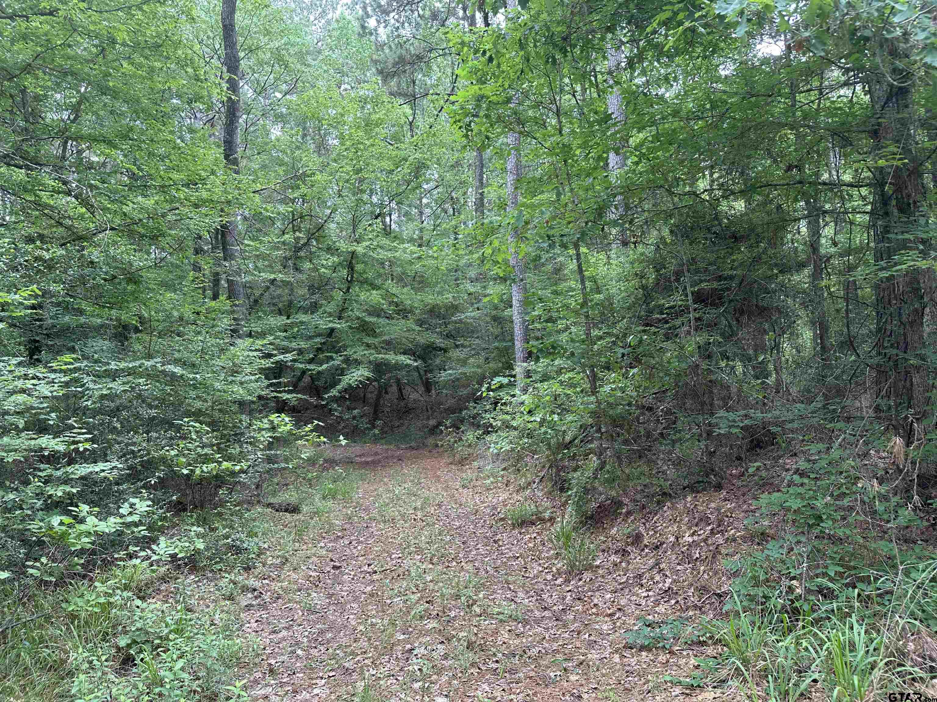 Tbd Sand Road Lufkin, TX 75904 - Photo 18 of 27