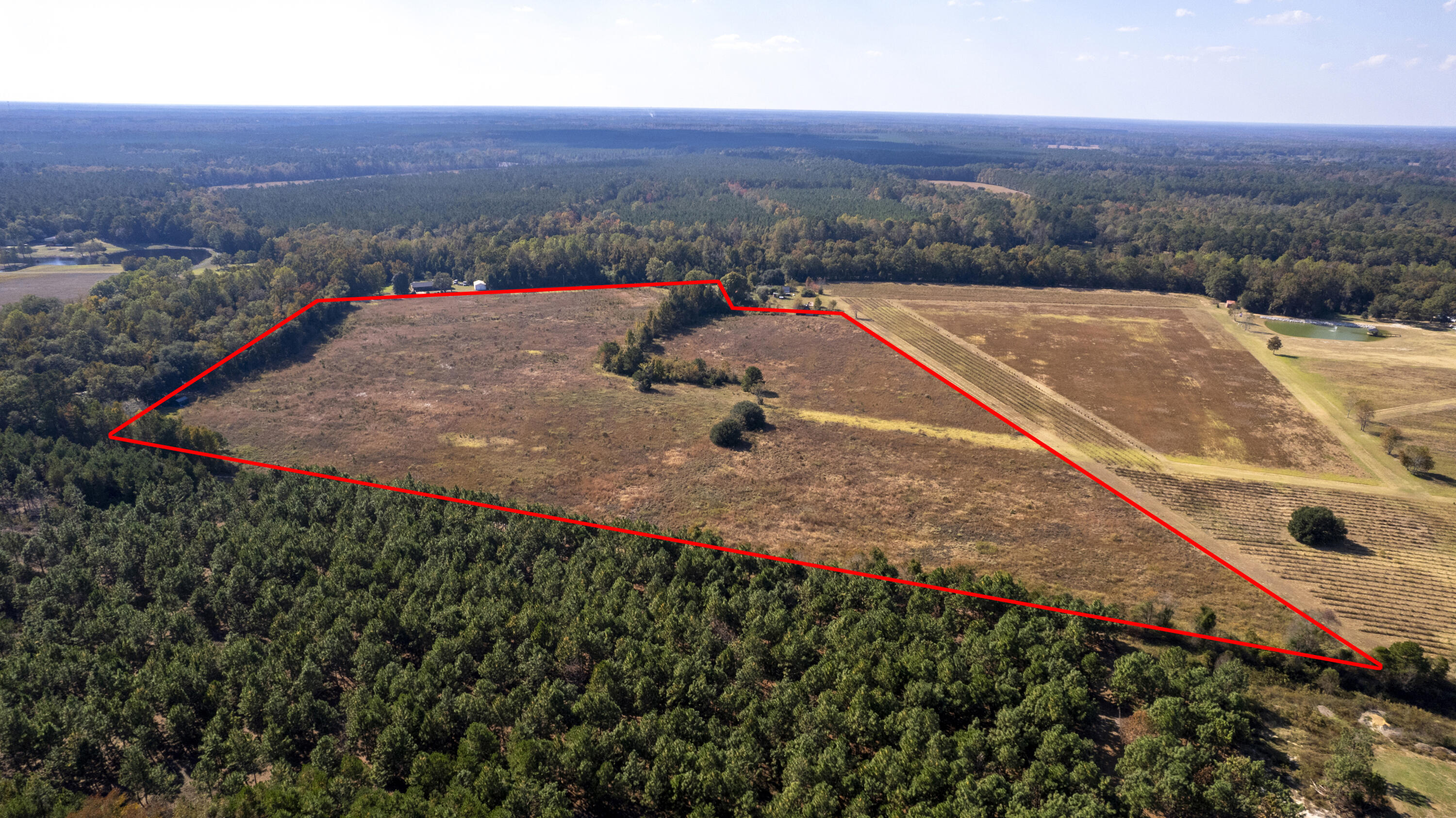 1501 South Brewington Road Manning, SC 29102 - Photo 4 of 21 AERIAL VIEW