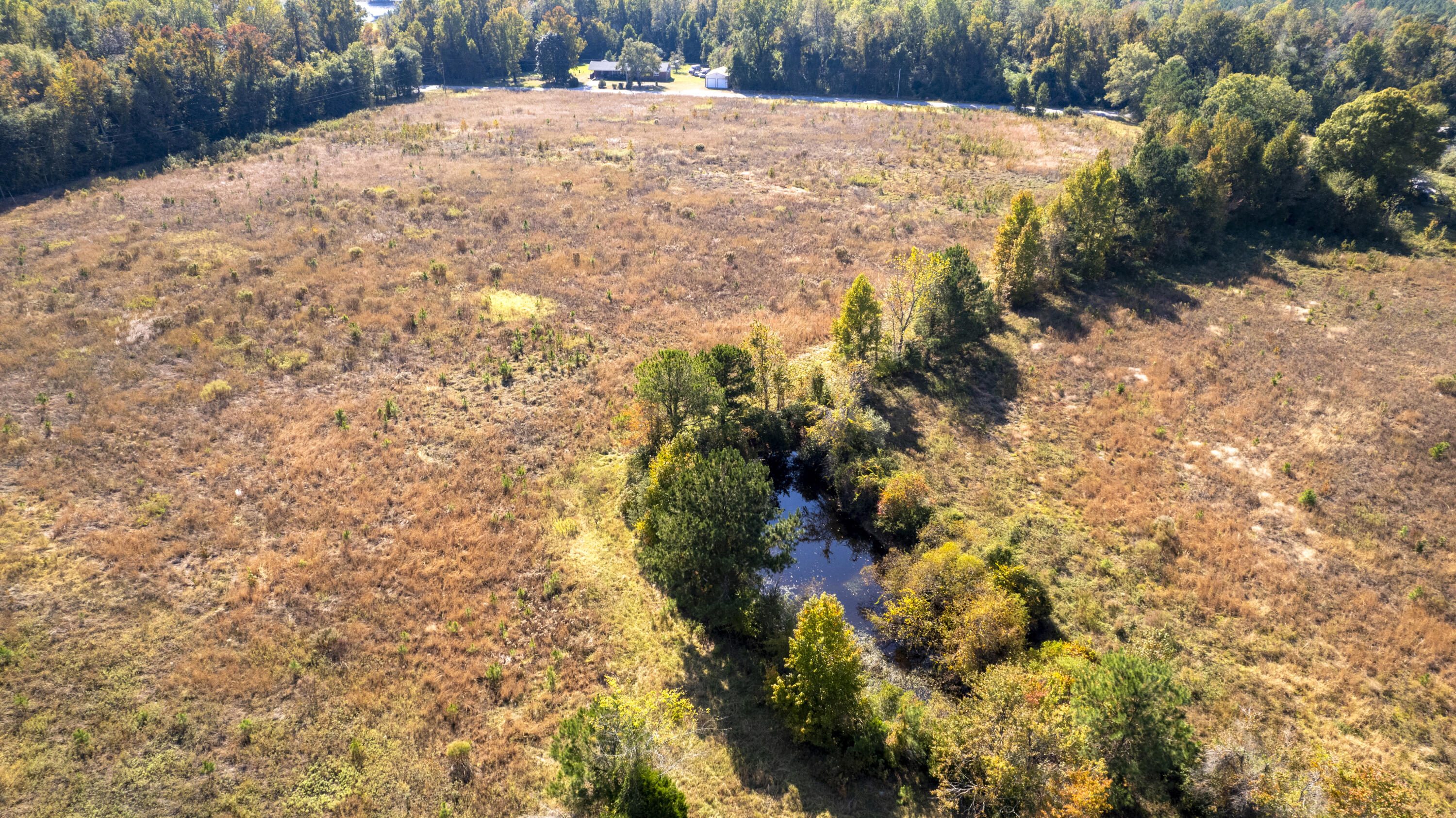 1501 South Brewington Road Manning, SC 29102 - Photo 6 of 21 AERIAL OF POND