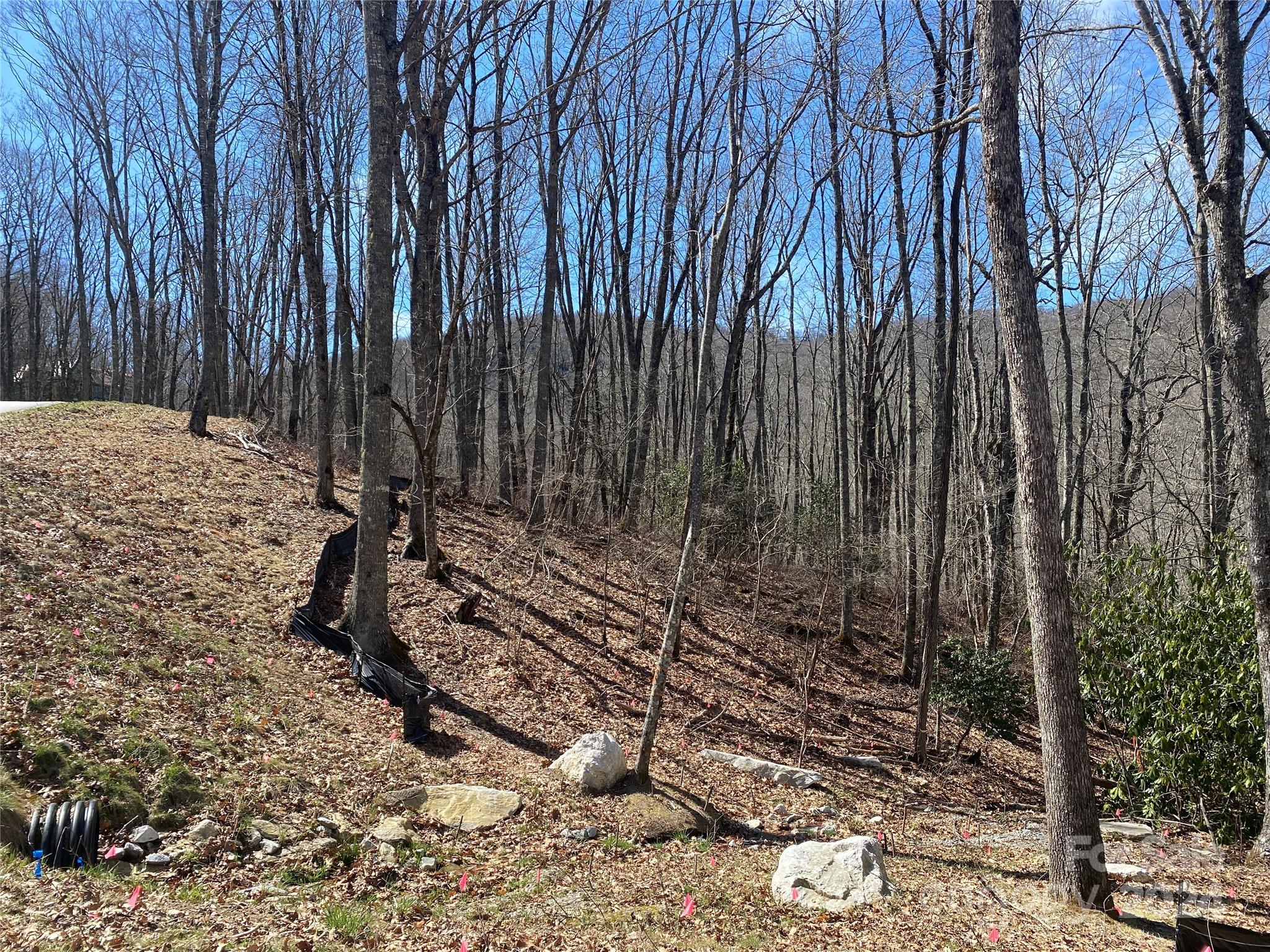 Lot C23 Roaming Road Glenville, NC 28736 - Photo 4 of 15 a view of a backyard with trees