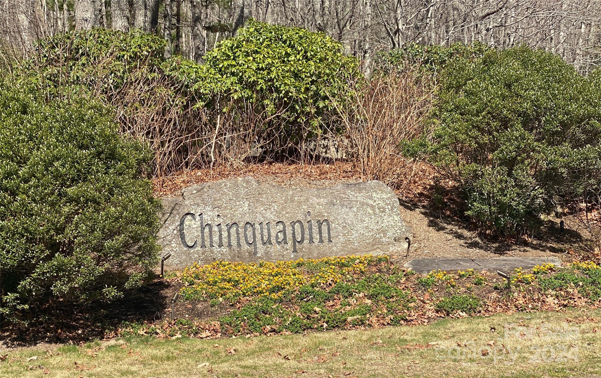 Lot C23 Roaming Road Glenville, NC 28736 - Photo 6 of 15 a view of a tree with a yard