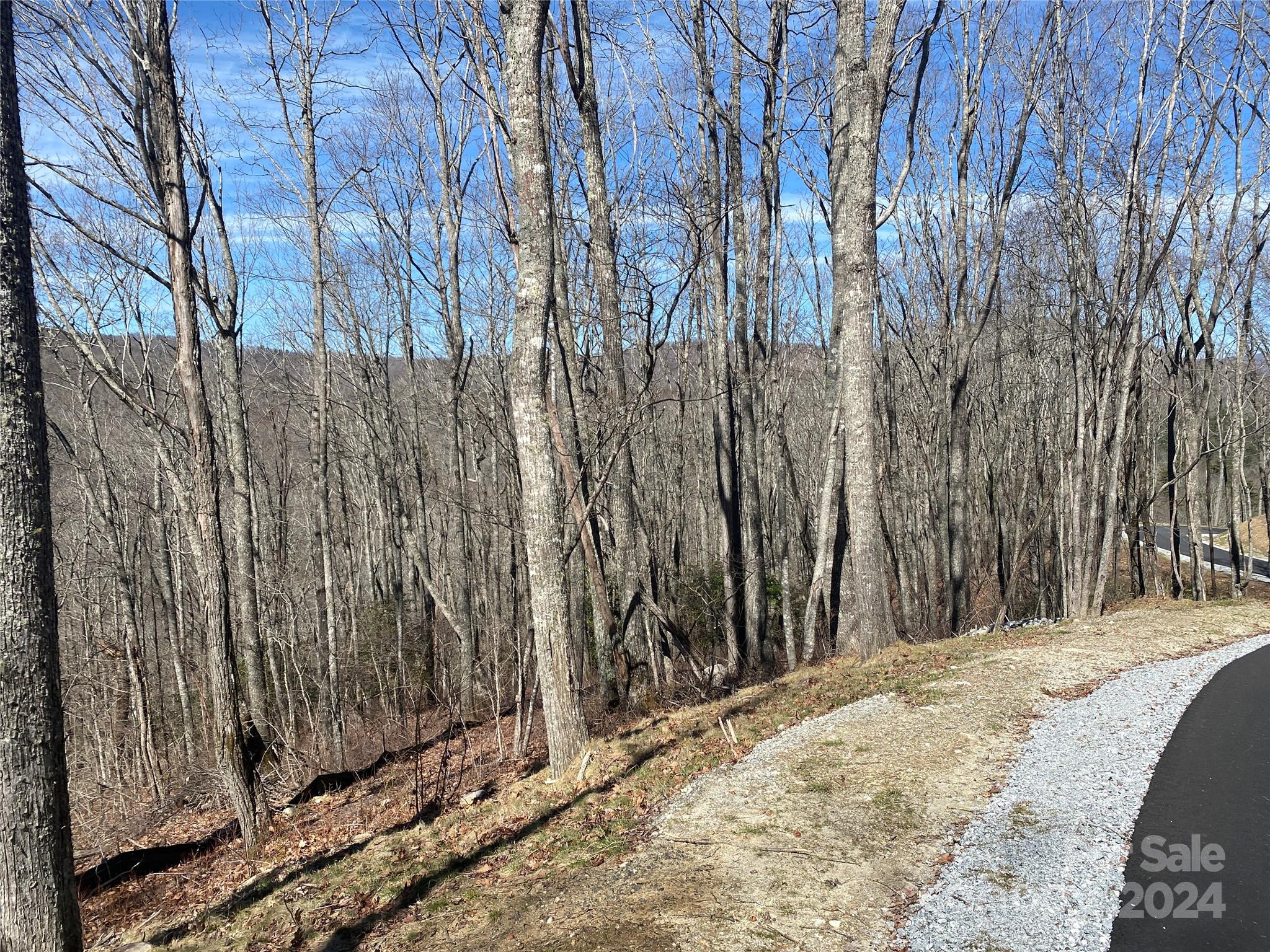 Lot C23 Roaming Road Glenville, NC 28736 - Photo 10 of 15 a view of a backyard of the house