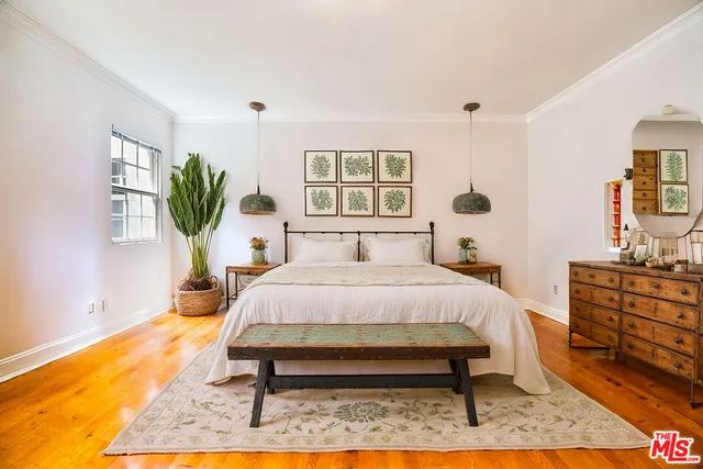 a view of a building with a potted plant