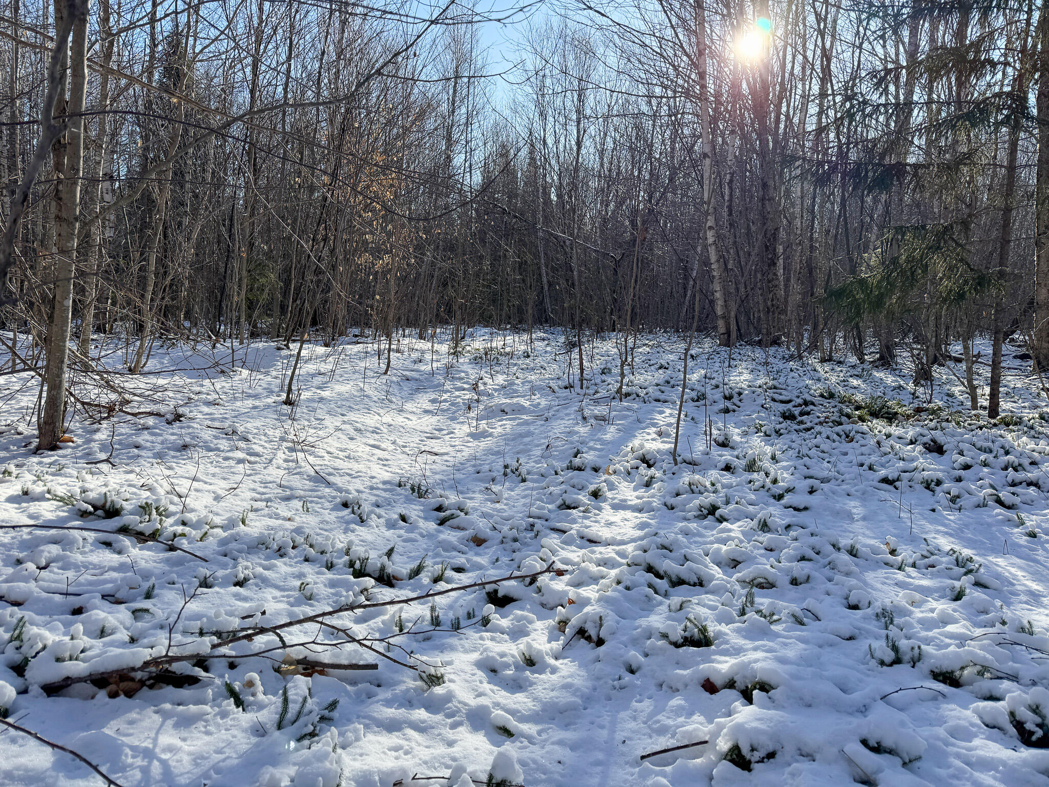 Lot 15 Upper Dobsis Road Lakeville, ME 04487 - Photo 27 of 35 27