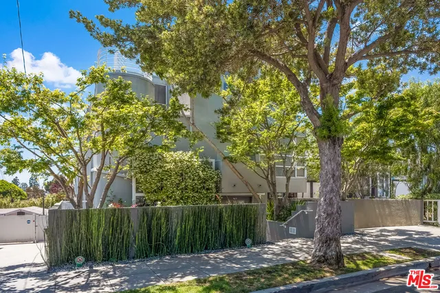 a view of a backyard with tree