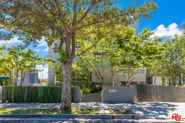 a view of a yard with plants