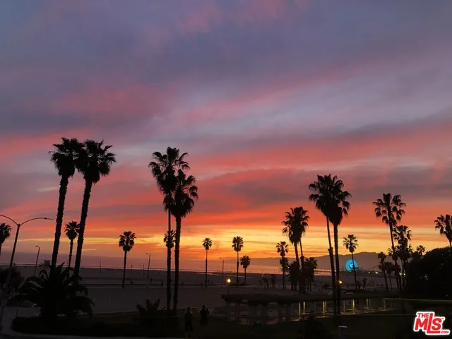 a view of a lot of trees and sunset