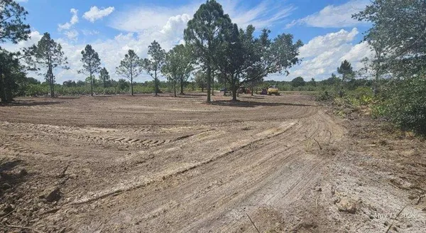 a view of dirt field with trees