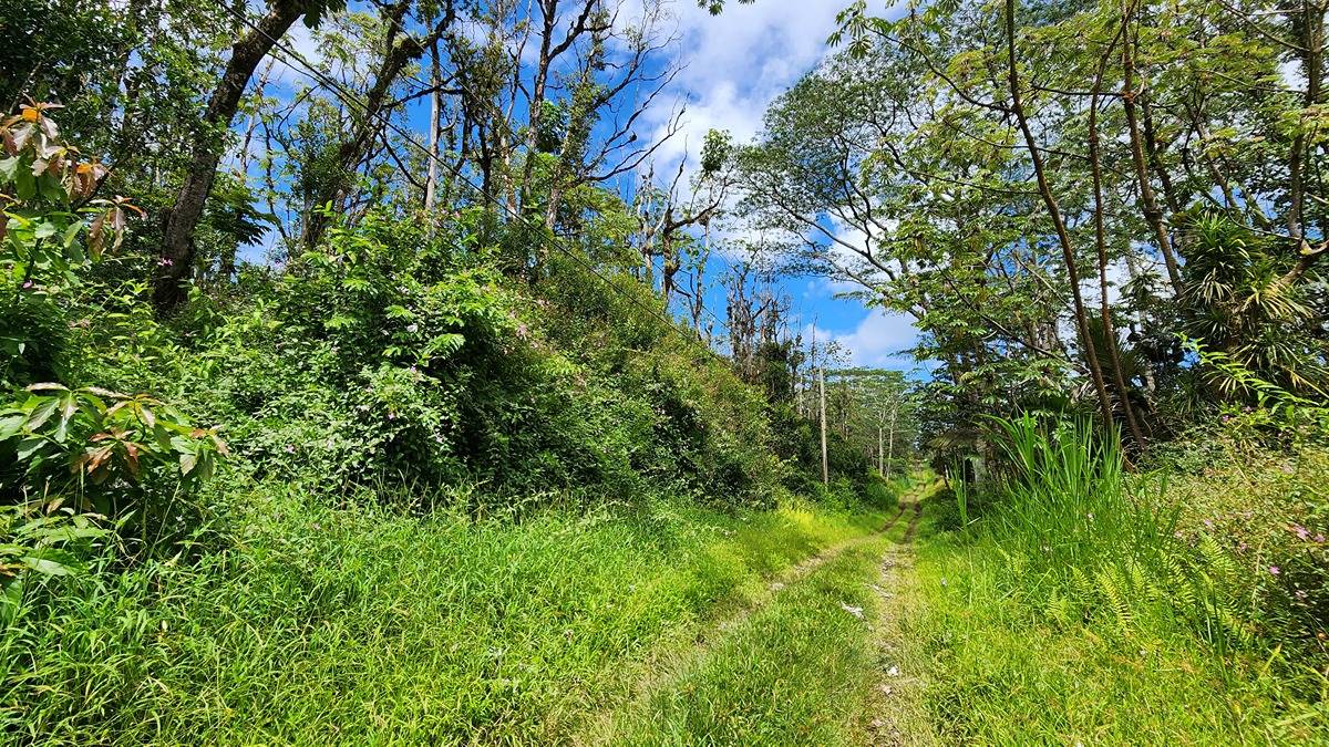 427 Maui Road Pahoa, HI 96778 - Photo 4 of 4 Gallery Image 4