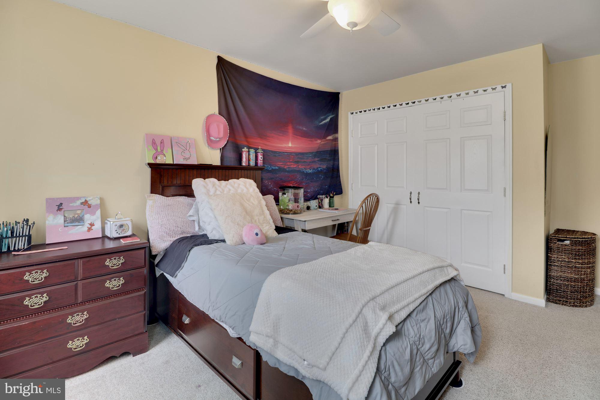 2508 Braddock Road Mount Airy, MD 21771 - Photo 20 of 30 Bedroom #3 upper level.