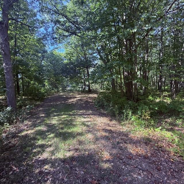Tbd West Lilja Avenue Shell Lake, WI 54871 - Photo 4 of 23 Gallery Image 4