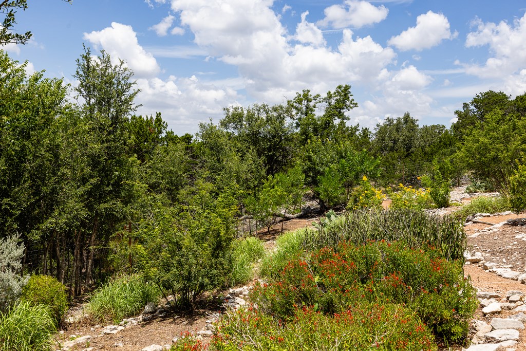 114 Solar Hill Road Kerrville, TX 78028 - Photo 27 of 48